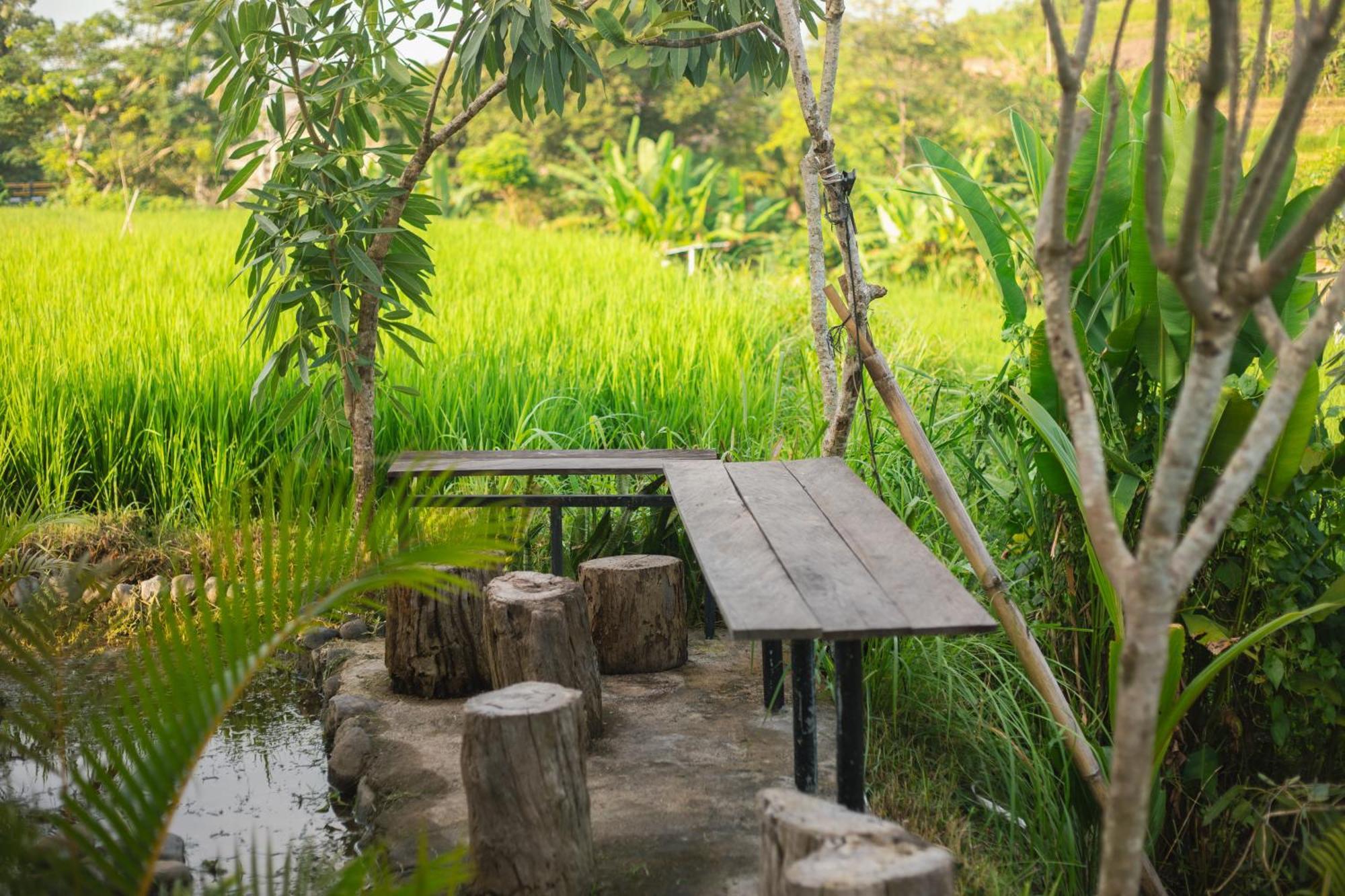 Hotel Camani Glamping Karangasem Exterior foto