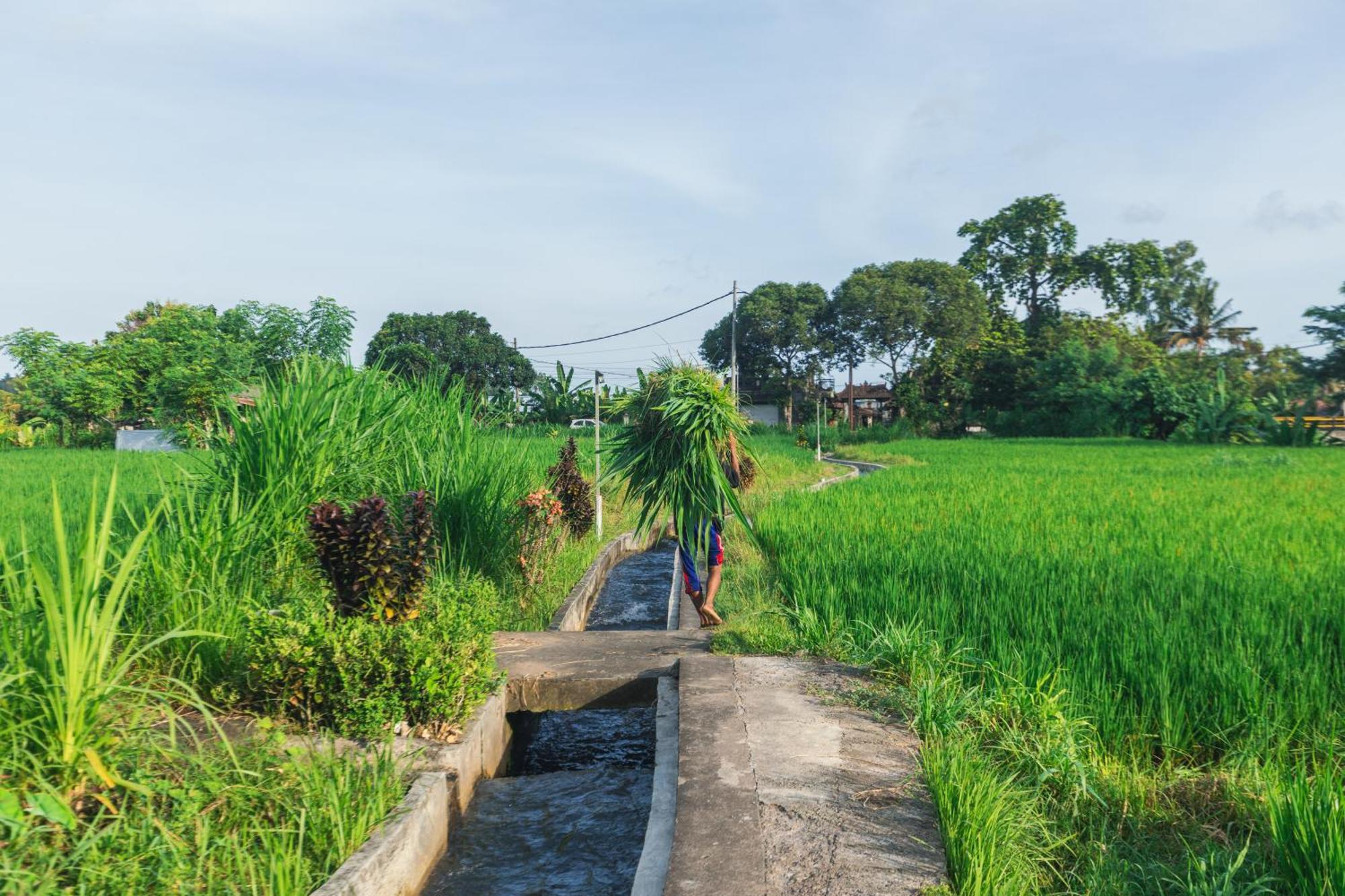 Hotel Camani Glamping Karangasem Exterior foto