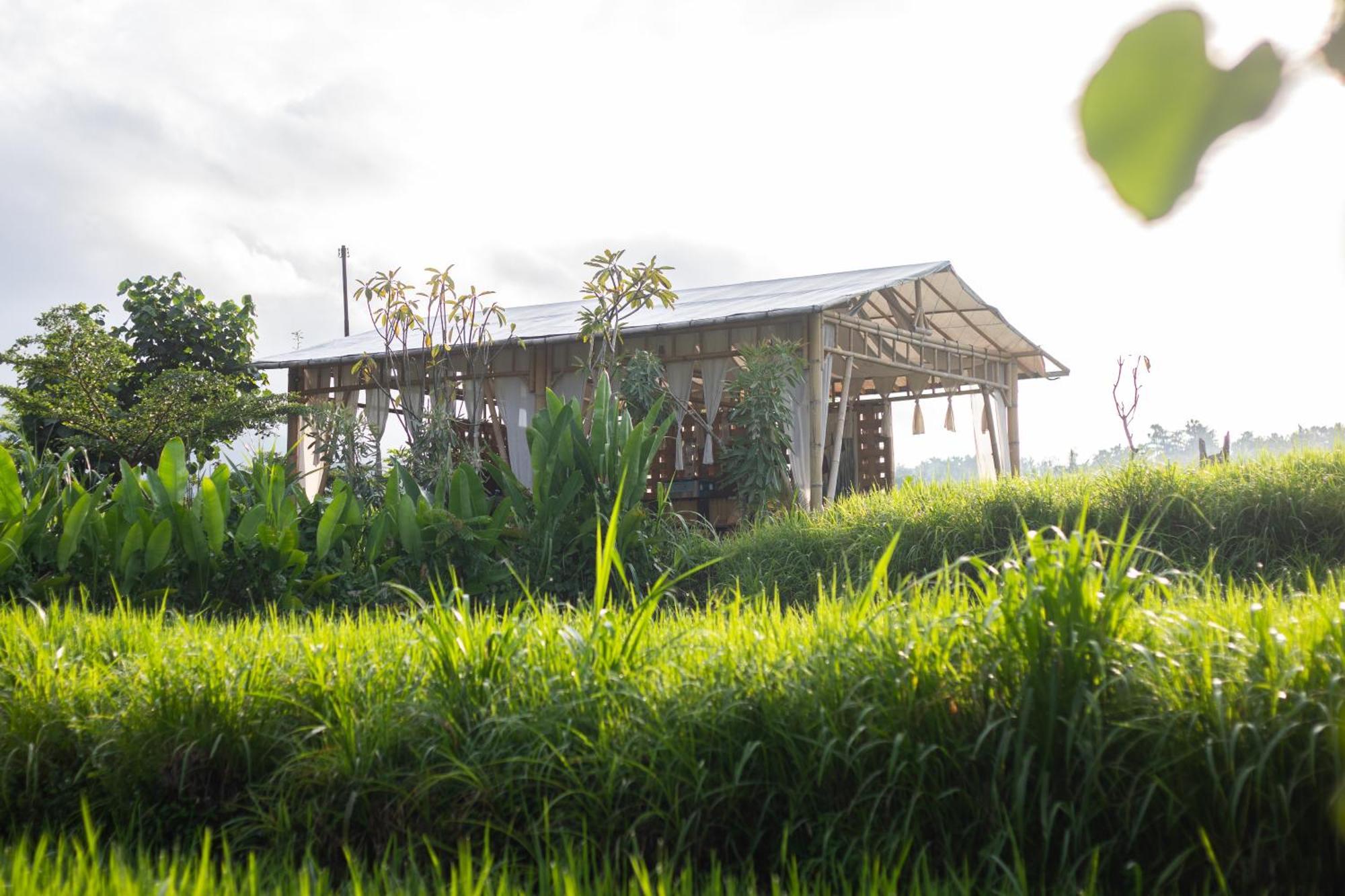 Hotel Camani Glamping Karangasem Exterior foto